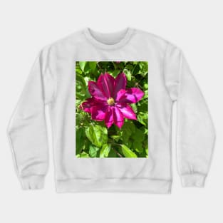 Purple iris in full bloom Crewneck Sweatshirt